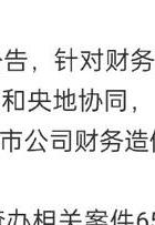 深圳证监局财务造假案件_深圳公司调查取证_北交所欺诈发行第一案